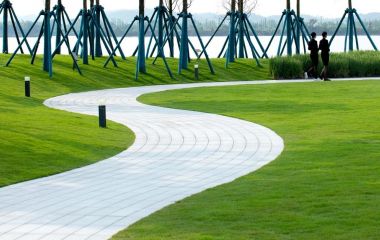 ТОП - 5 кращих елітних газонів ТОП - 5 кращих елітних газонів