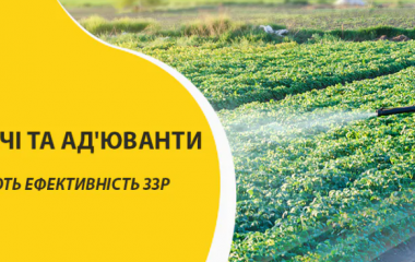 Навіщо застосовувати прилипачі та ад'юванти? Навіщо застосовувати прилипачі та ад'юванти?