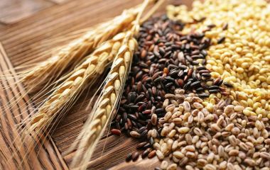 Системи використання продуктів Валагро на польових культурах Системи використання продуктів Валагро на польових культурах