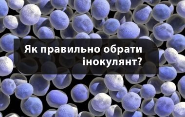 Як правильно обрати інокулянт? Як правильно обрати інокулянт?