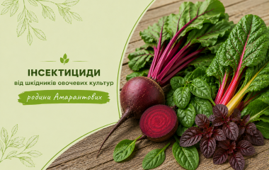 Інсектициди від шкідників овочевих культур родини Амарантових