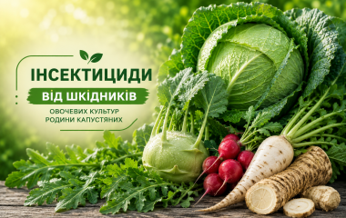 Інсектициди від шкідників овочевих культур родини Капустяних