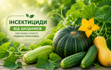Інсектициди від шкідників овочевих культур родини Гарбузових