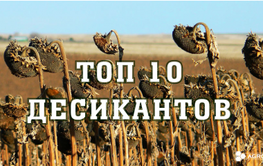 ТОП 10 десикантів: який десикант вибрати? ТОП 10 десикантів: який десикант вибрати?