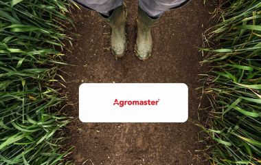 Сучасні мінеральні добрива Agromaster Сучасні мінеральні добрива Agromaster