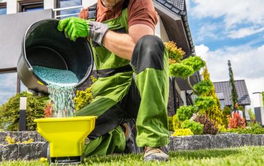 Головні правила підживлення газону навесні Головні правила підживлення газону навесні