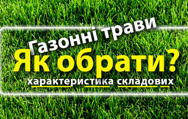 Газонні трави: склад, переваги, застосування Газонні трави: склад, переваги, застосування