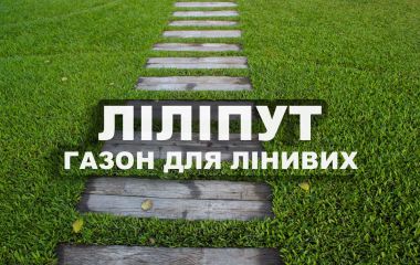 Газон для ледачих: ліліпут, карлик чи міні? Газон для ледачих: ліліпут, карлик чи міні?