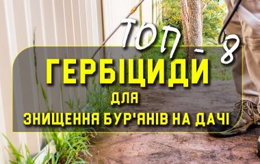 ТОП - 8 гербіцидів суцільної дії  ТОП - 8 гербіцидів суцільної дії