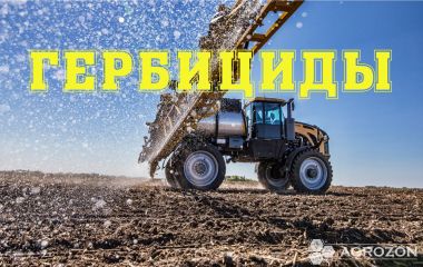 Що таке гербіциди та для чого вони потрібні? Що таке гербіциди та для чого вони потрібні?