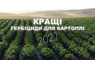 Кращі гербіциди для картоплі: досходові та післясходові Кращі гербіциди для картоплі: досходові та післясходові