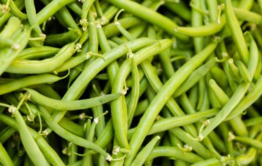 Система захисту квасолі Система захисту квасолі