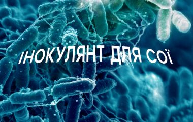ТОП інокулянтів для сої: який інокулянт кращий?  ТОП інокулянтів для сої: який інокулянт кращий?