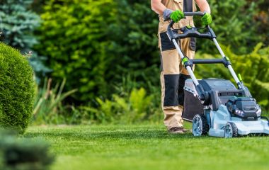 ТОП - 10 кращих газоннів для дому ТОП - 10 кращих газоннів для дому