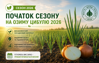 Старт сезону на озиму цибулю 2026