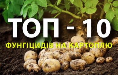 ТОП 10 лучших фунгицидов на картофель ТОП 10 лучших фунгицидов на картофель