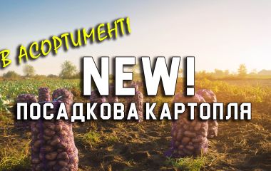 Новинка сезона 2023 Новинка сезона 2023