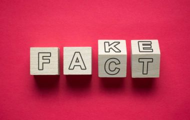 В чем разница между оригинальным десикантом и генериком? В чем разница между оригинальным десикантом и генериком?