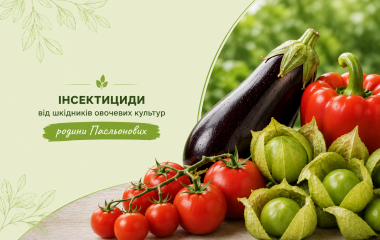 Інсектициди від шкідників овочевих культур родини Пасльонових