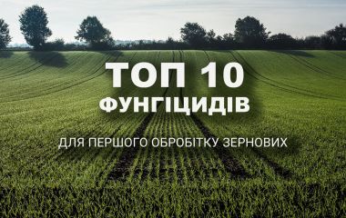 ТОП 10 фунгіцидів: перша обробка зернових ТОП 10 фунгіцидів: перша обробка зернових
