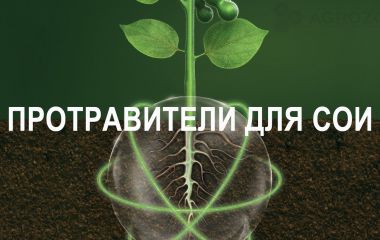 ТОП - 10 протруювачів для сої ТОП - 10 протруювачів для сої