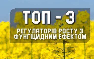 ТОП - 3 регуляторів росту з фунгіцидним ефектом для ріпаку ТОП - 3 регуляторів росту з фунгіцидним ефектом для ріпаку