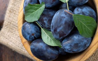 Як захистити сливи від хвороб та шкідників? (схема захисту)