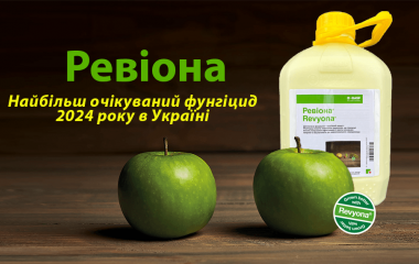 Новинка 2024 року: Ревіона від BASF Новинка 2024 року: Ревіона від BASF