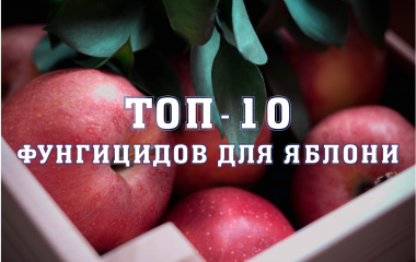 ТОП 10 Фунгіцидів для яблуні ТОП 10 Фунгіцидів для яблуні