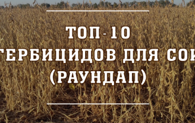 ТОП 10 Гербіцидів для ГМО сої ТОП 10 Гербіцидів для ГМО сої