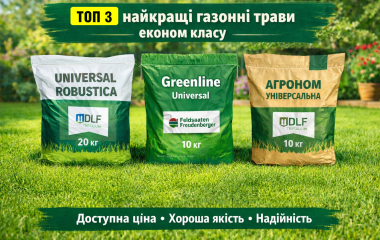 Топ-3 найкращі газонні трави економ класу