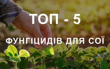 ТОП - 5 Фунгіцидів для сої ТОП - 5 Фунгіцидів для сої