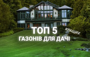 ТОП 5 найгарніших газонів для дачі ТОП 5 найгарніших газонів для дачі