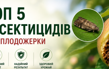 Топ 5 інсектицидів від плодожерки