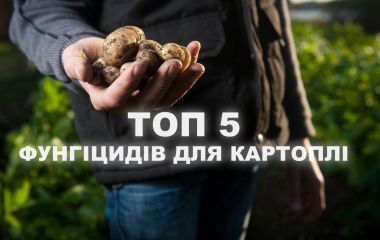 ТОП 5 фунгіцидів для захисту картоплі від хвороб ТОП 5 фунгіцидів для захисту картоплі від хвороб