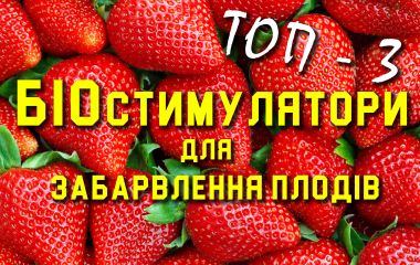 ТОП - 3 препаратів для забарвлення плодів ТОП - 3 препаратів для забарвлення плодів