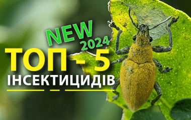 Новинки 2024 року: ТОП-5 інсектицидів Новинки 2024 року: ТОП-5 інсектицидів