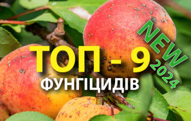 Новинки 2024 року: ТОП-9 фунгіцидів Новинки 2024 року: ТОП-9 фунгіцидів