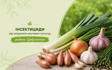 Інсектициди від шкідників овочевих культур родини Цибулинних