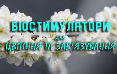 ТОП - 3 біостимуляторів для цвітіння ТОП - 3 біостимуляторів для цвітіння