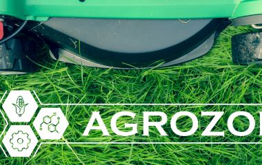 Основні рекомендації по створенню та догляду за газоном Основні рекомендації по створенню та догляду за газоном