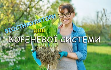 ТОП - 3 біостимуляторів кореневої системи ТОП - 3 біостимуляторів кореневої системи