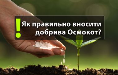 Як правильно вносити добрива Осмокот? Як правильно вносити добрива Осмокот?