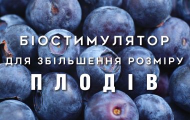 ТОП біостимуляторів для збільшення плодів ТОП біостимуляторів для збільшення плодів