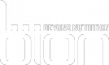 BION INTERNATIONAL BV.