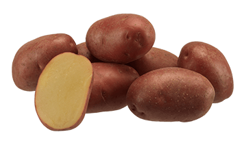 Картопля Еволюшн Agrico - 20 кг