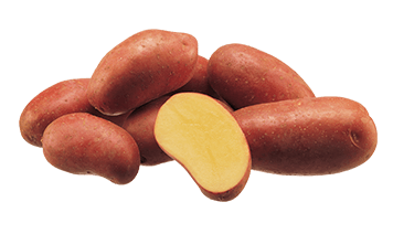 Картопля Есмі Agrico - 20 кг