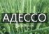 Озима пшениця Адессо Probstdorfer Saatzucht - 1 т