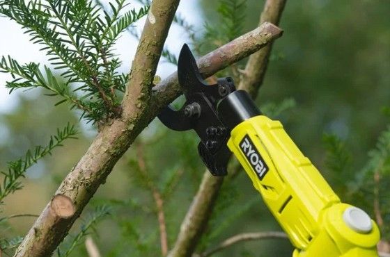 Сучкорез телоскопічний RYOBI RY18PLA-0, ONE+ 18В, 32мм, 250Нм (каркас)