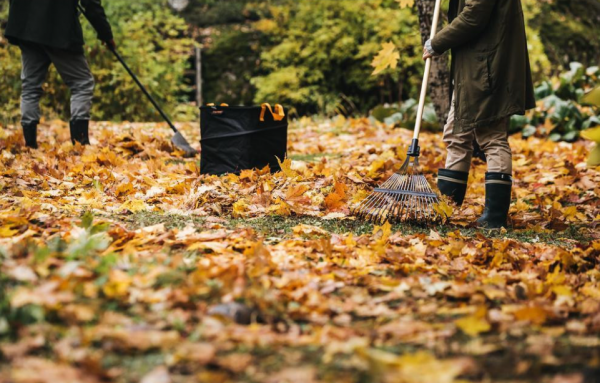Граблі віялові для листя FISKARS Prima FSC